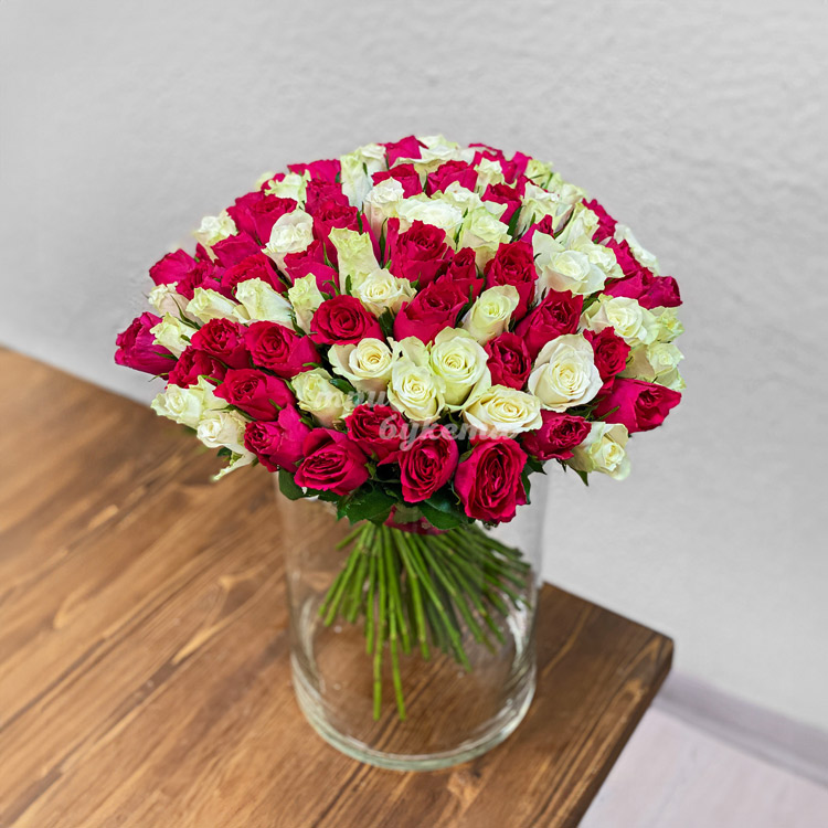 101 бело-розовая роза