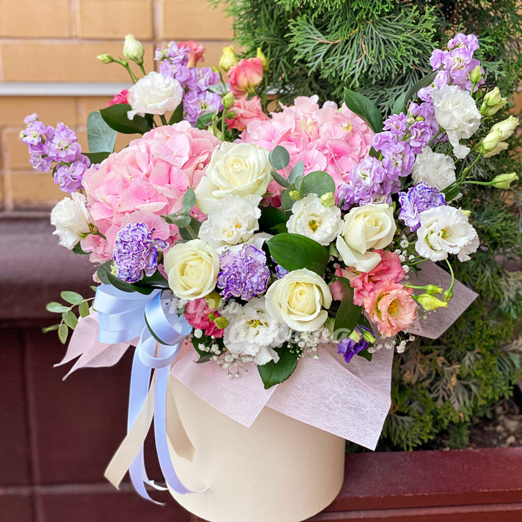 Гортензии в шляпной коробке (на клумбе)