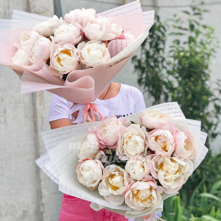 Букет из 11 светло-розовых пионов (два букета в руках)