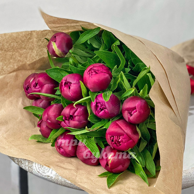 Букет из 15 пионов Ред Шарм (крупный план)