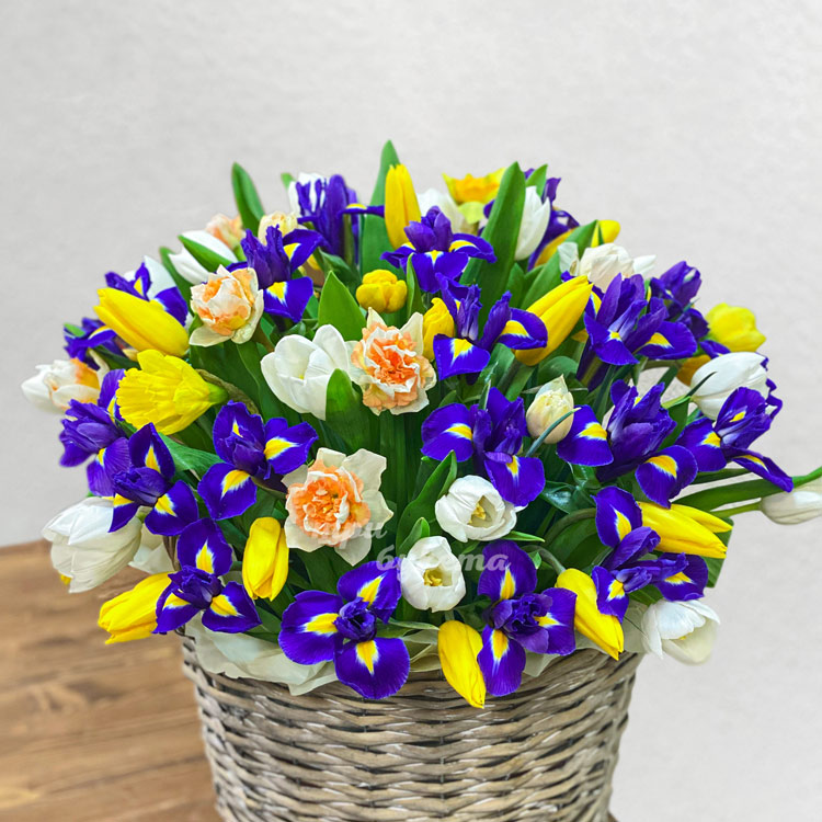 Ирисы, тюльпаны и нарциссы в корзине (крупный план)