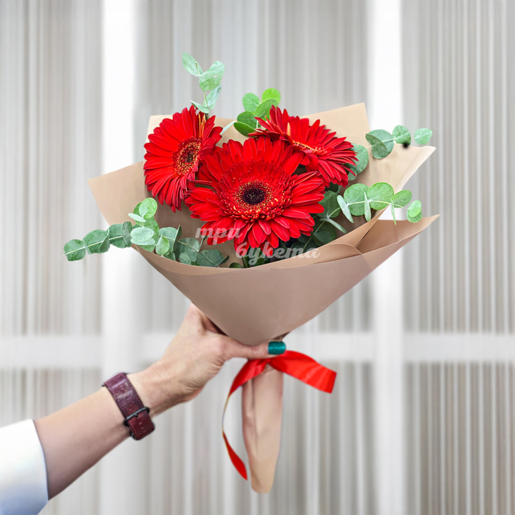 Букет из 3 красных гербер с эвкалиптом