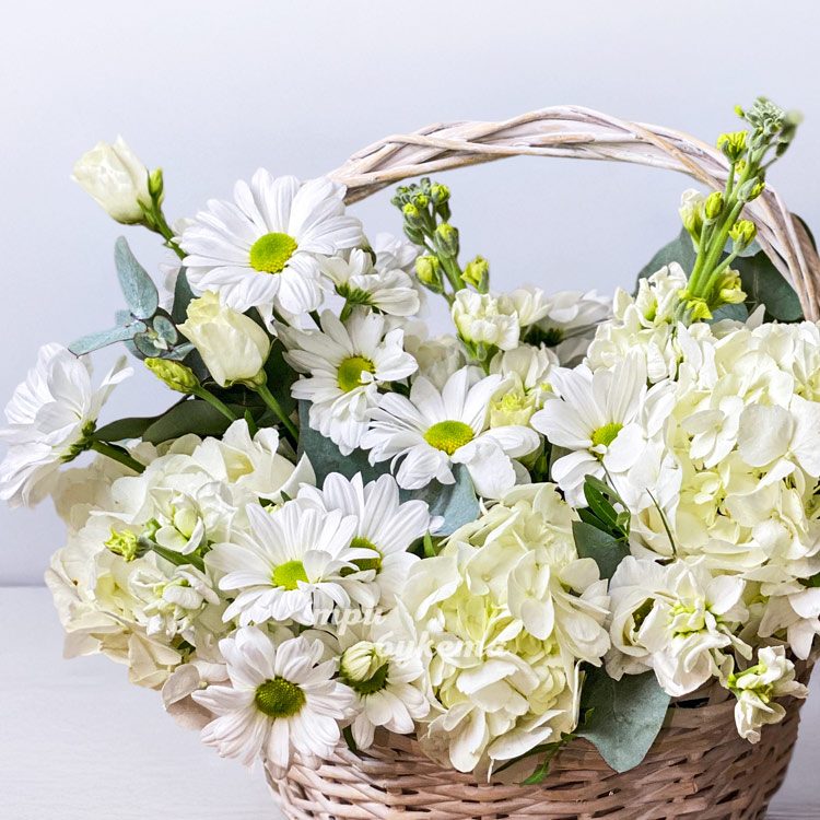 Корзина белых гортензий, хризантем и эустом (крупный план)